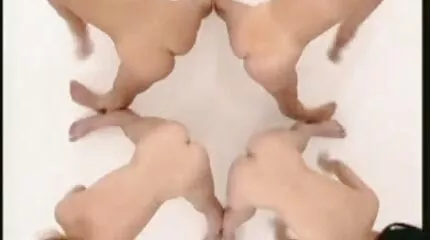 A kurva punciját és seggét két férfi játssza eroszakos szex video keményen, és cum a szájban.