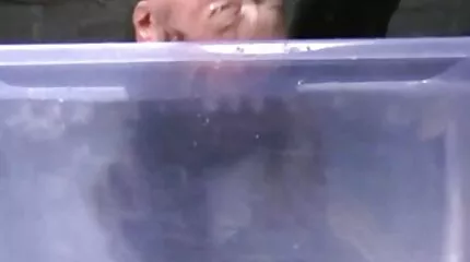 Gyönyörű szex egy karcsú ázsiai eroszakos porno videok nő szeretőjével az ágyban.