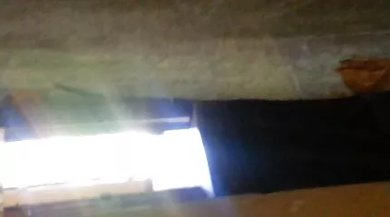 Remek szopás az első erőszakos szexfilmek személytől és egy lédús cumshot a kurva seggén.